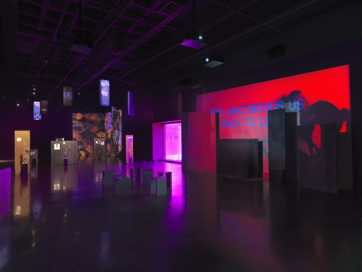 Alt text: In the foreground on the right, a saturated red video is projected onto an uneven surface of overlapping rectangular panels. The video depicts a person in movement with text overlaid that reads “the land brings us back to life.” The left side of the image shows more distant artworks scattered throughout the room:
freestanding panels with images mounted on them, dried thistle plants, hanging banners. Footage of orange and yellow flowers is projected onto the back corner.