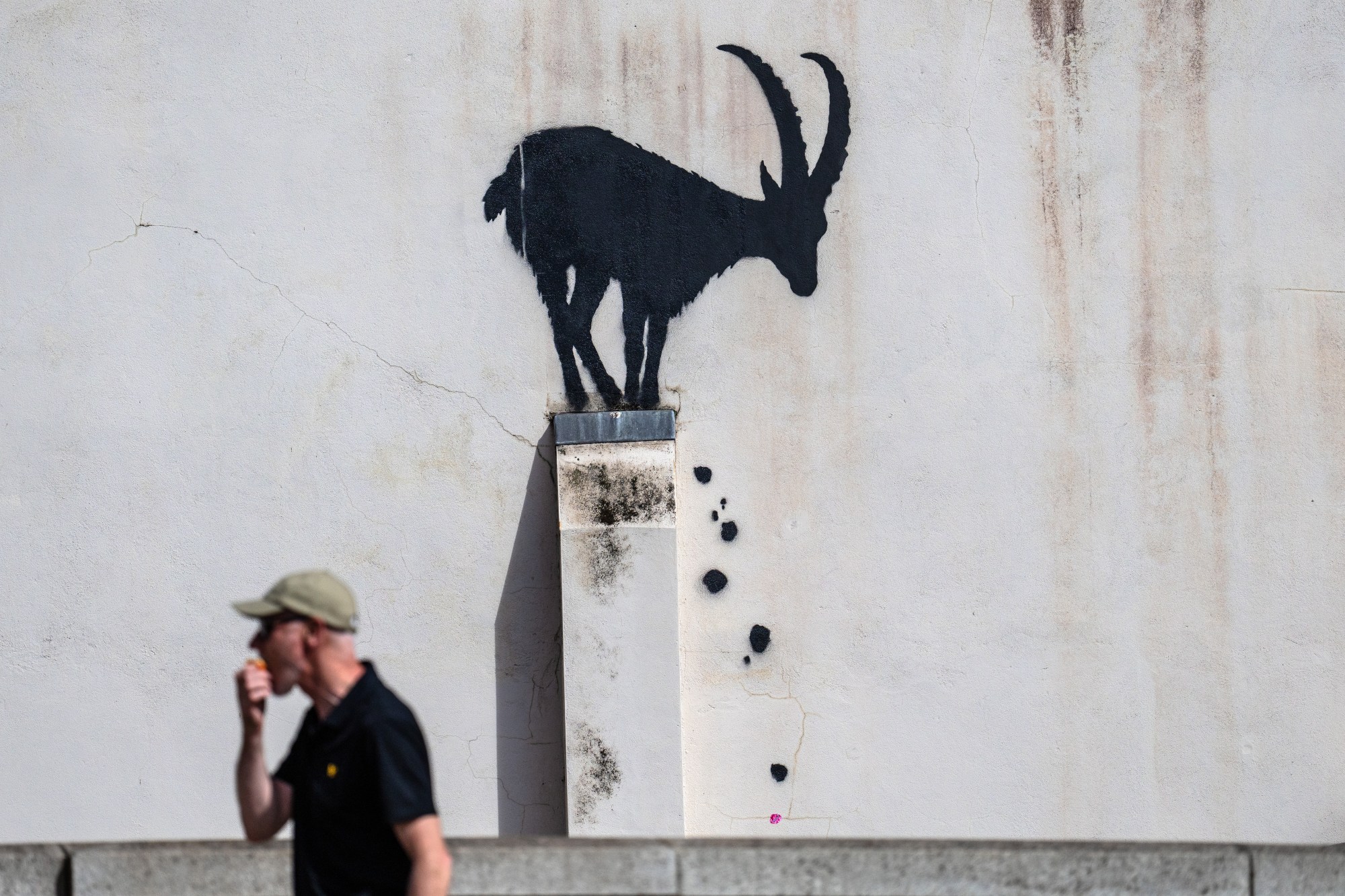 A painting of a black goat on a white wall.