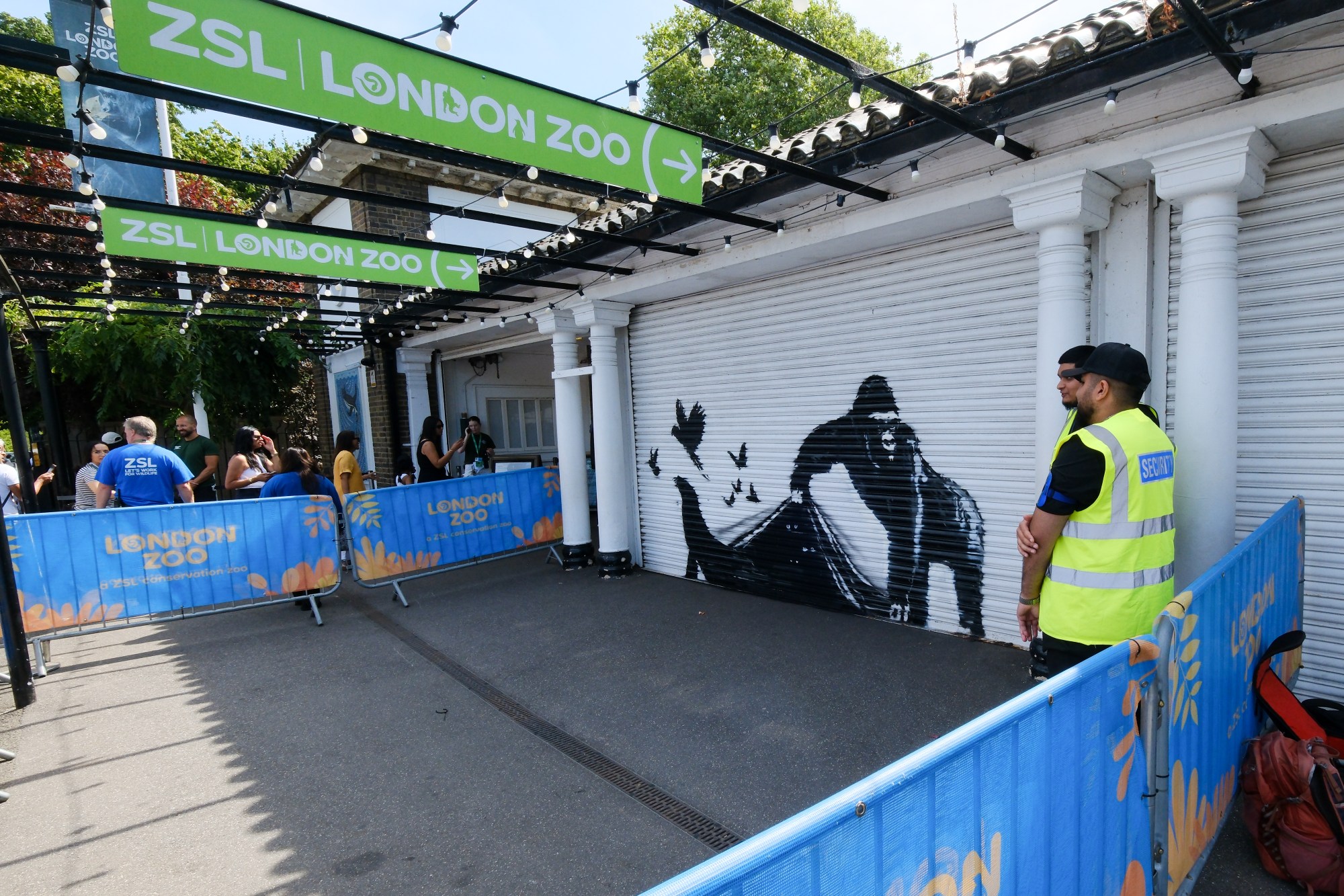 LONDON, UNITED KINGDOM - AUG 13, 2024 -  A gorilla artwork by artist Banksy appears at ZSL London Zoo. (Photo credit should read Matthew Chattle/Future Publishing via Getty Images)