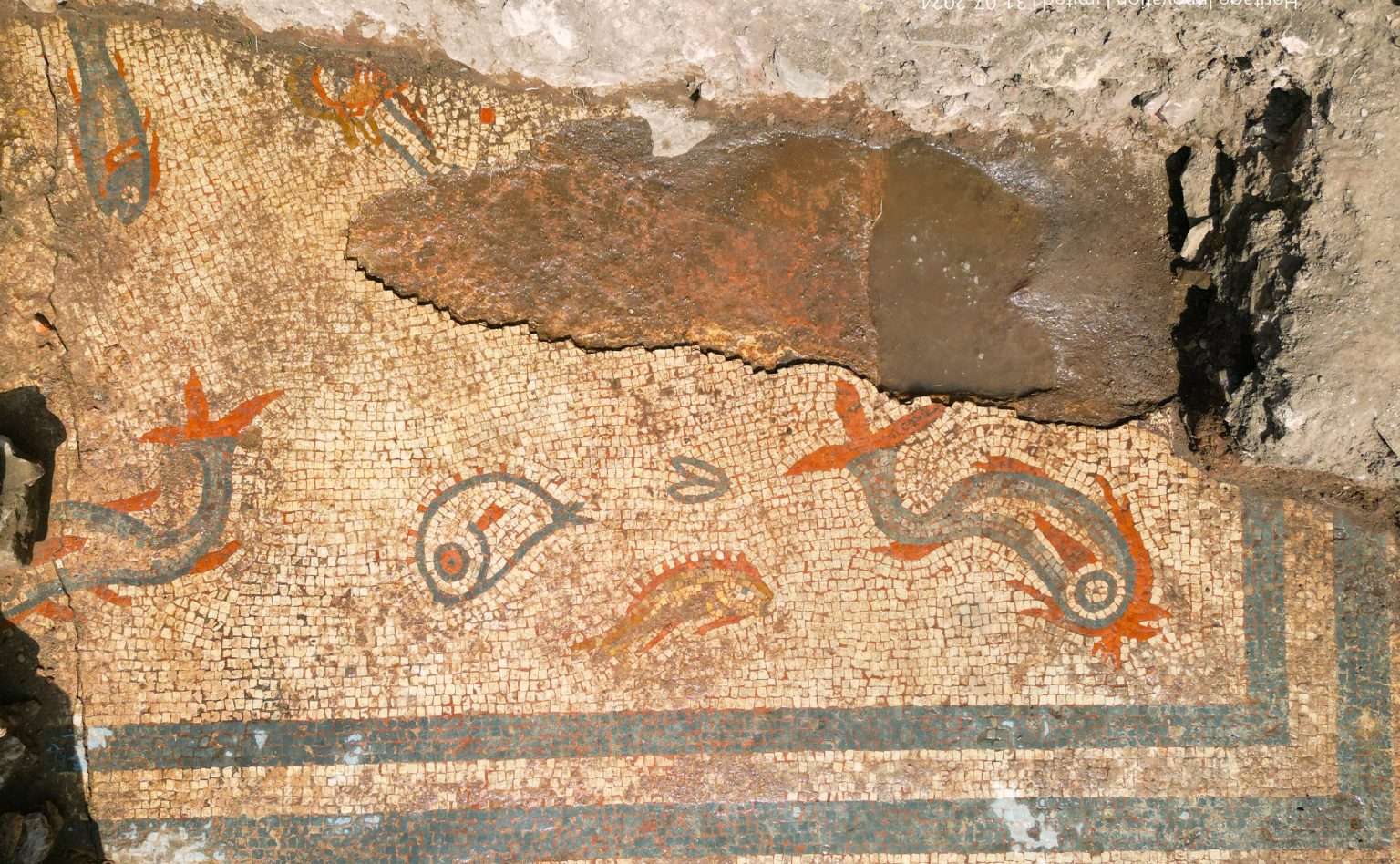 An intricately tiled mosaic floor recently found in northwestern England, features stylized dolphins and fish.